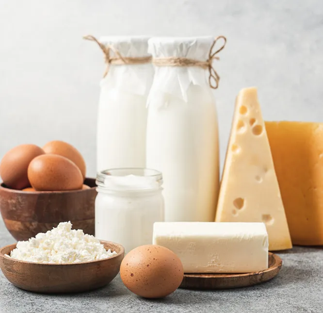 non gmo dairy products