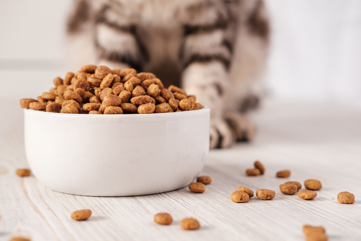 citric-acid-pet-food-manufacturing.jpeg